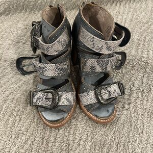 Freebird by Steven - Violet size 5